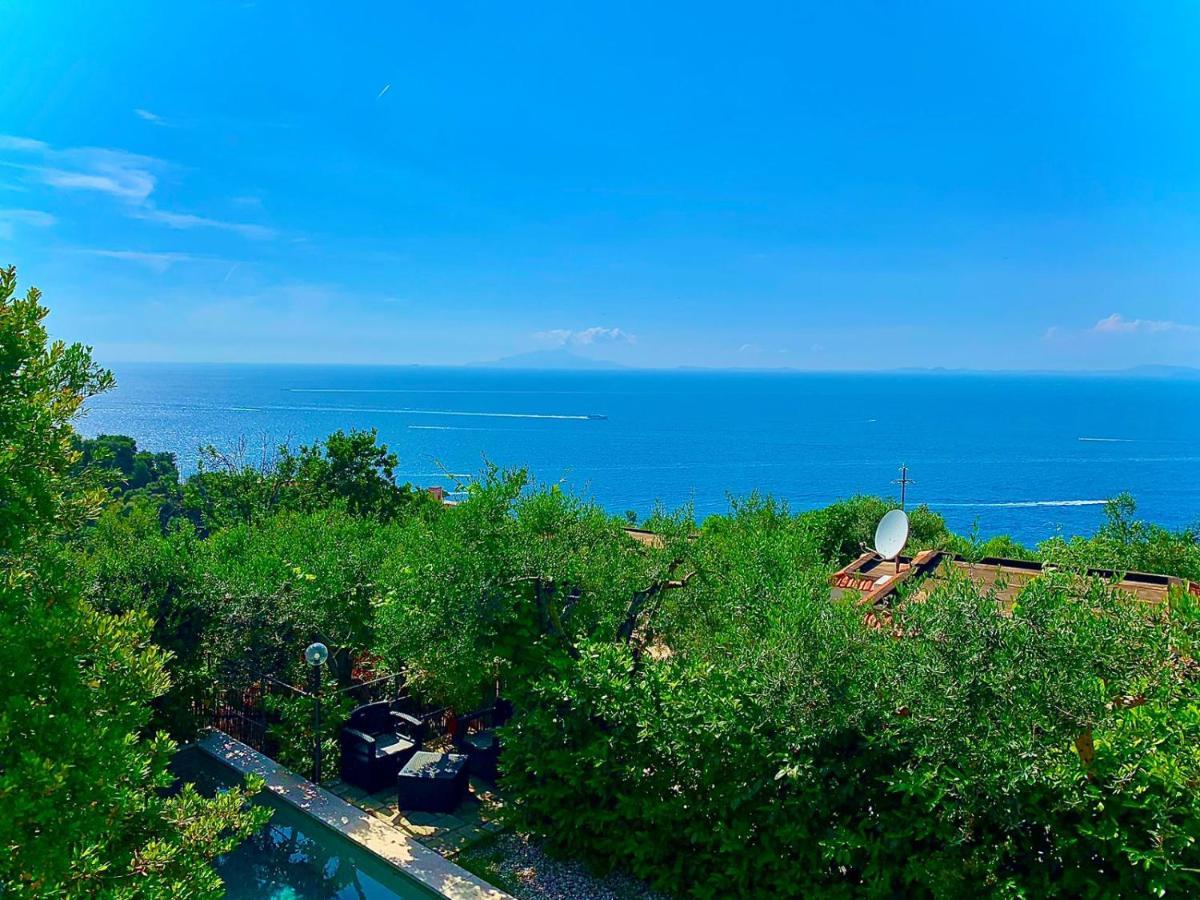 Amore Rentals - Casa Tatano Marciano Экстерьер фото