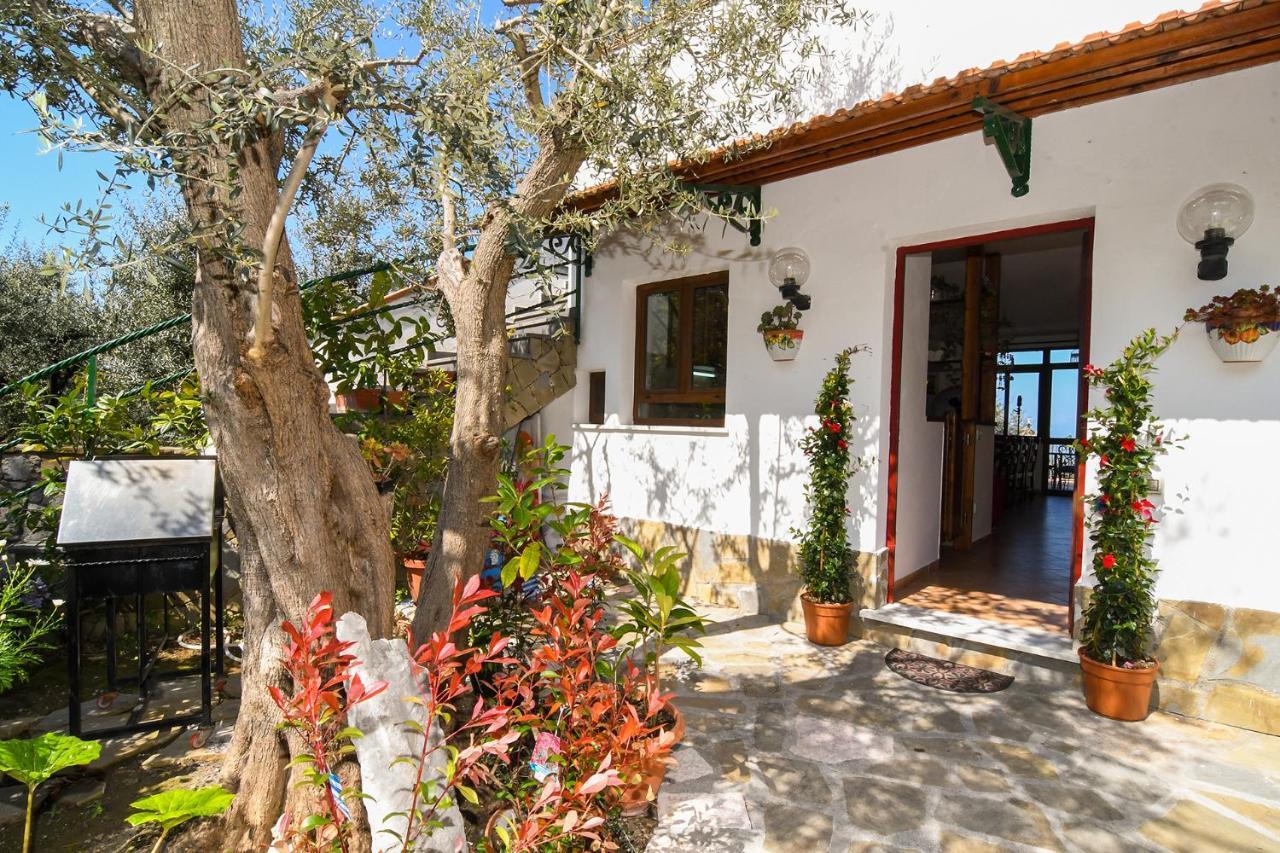 Amore Rentals - Casa Tatano Marciano Экстерьер фото