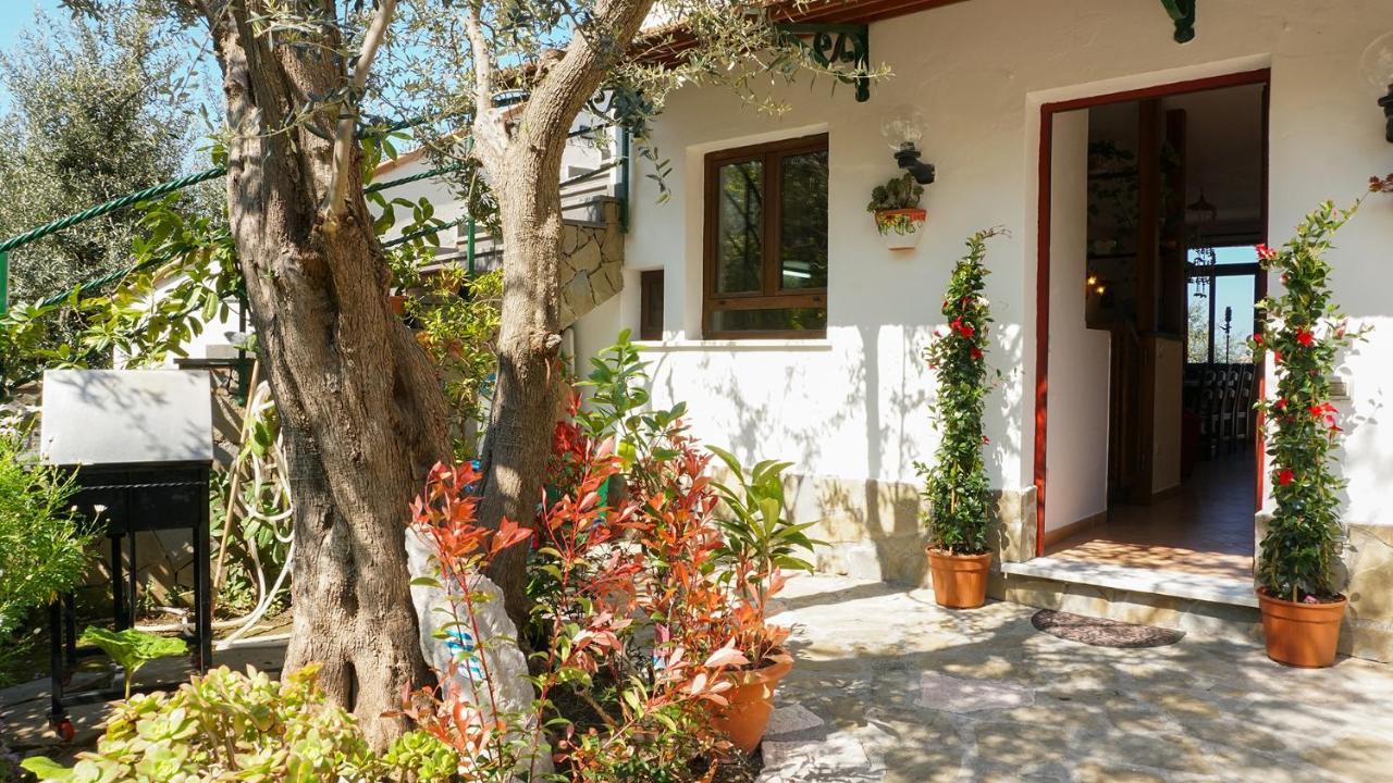 Amore Rentals - Casa Tatano Marciano Экстерьер фото