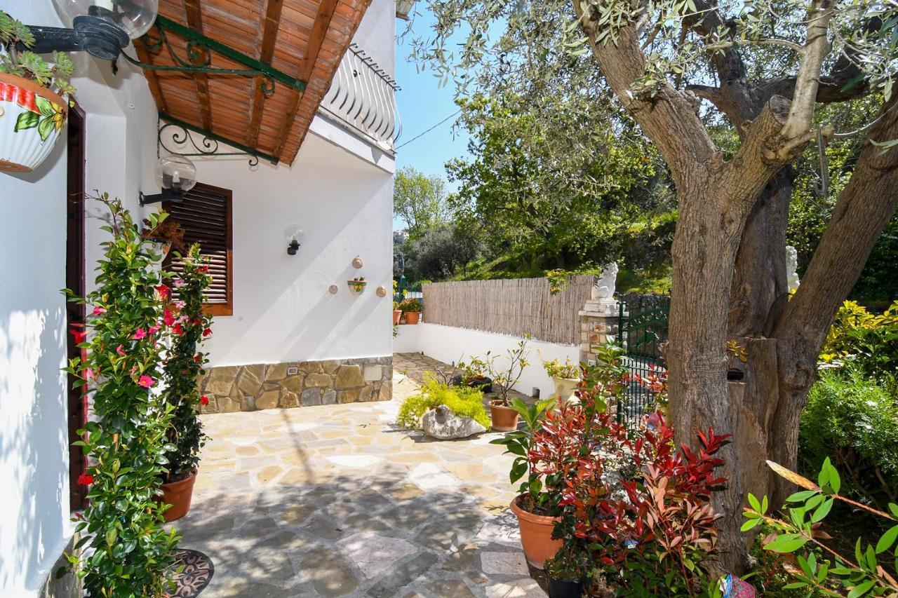 Amore Rentals - Casa Tatano Marciano Экстерьер фото