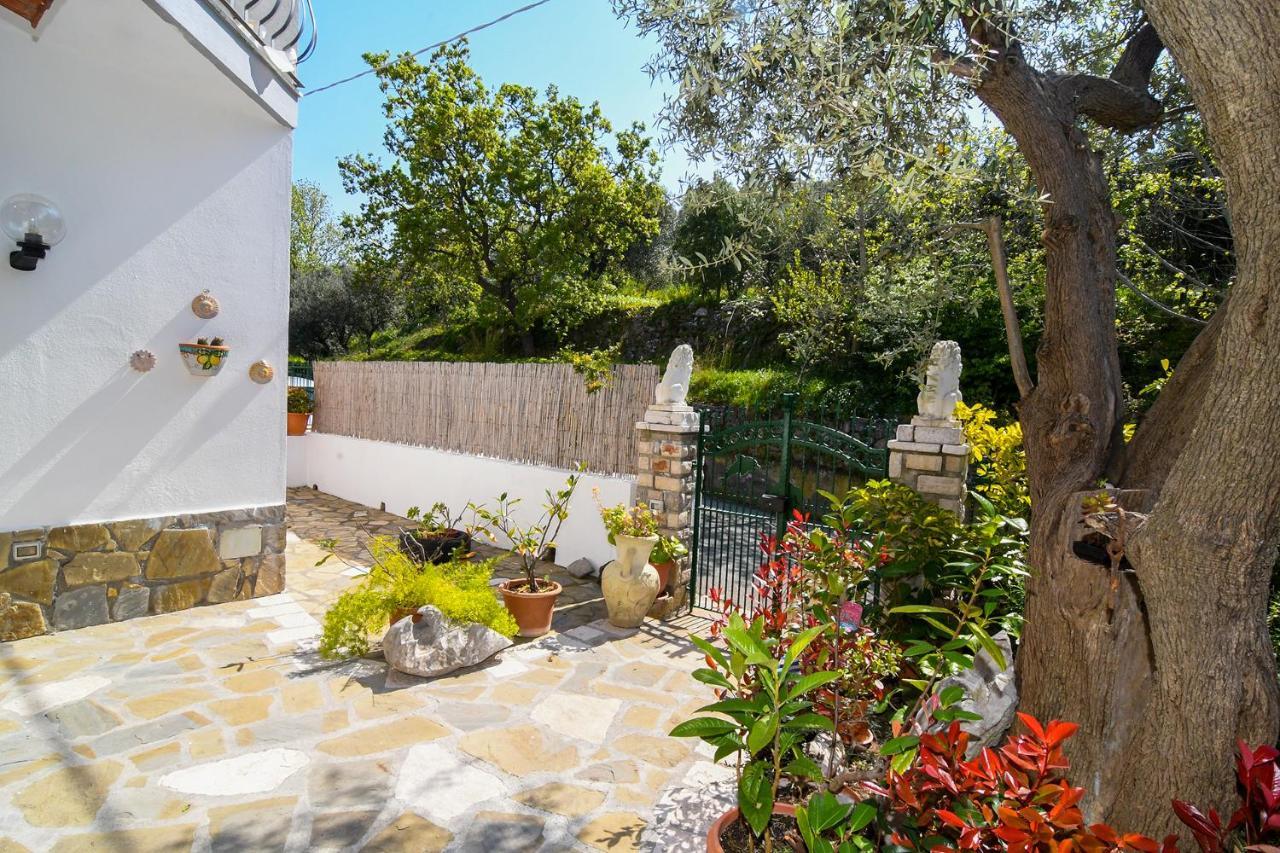 Amore Rentals - Casa Tatano Marciano Экстерьер фото